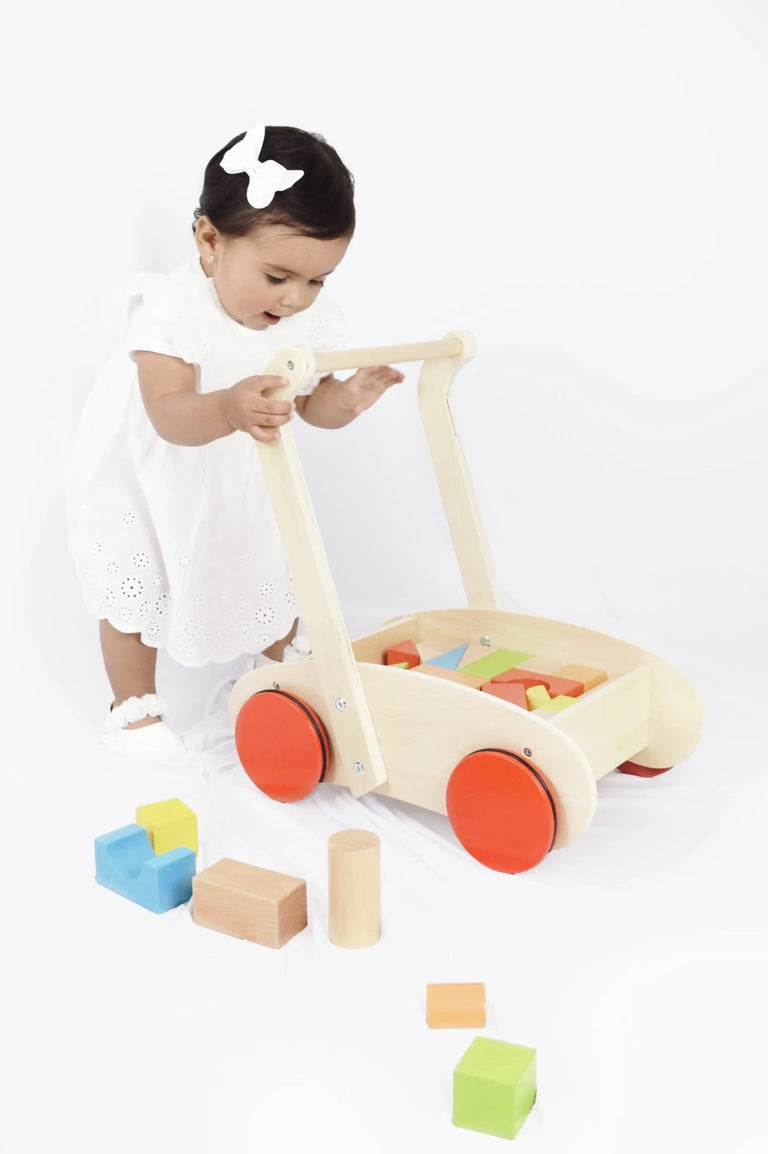 Carrito con Bloques de Madera (10 Meses+) - Seigard